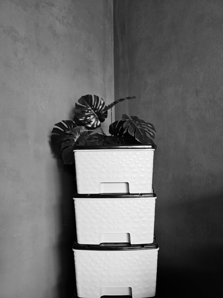 Free stock photo of black and white aesthetic